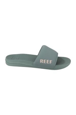 Reef Reef reef one slide  FROSTY