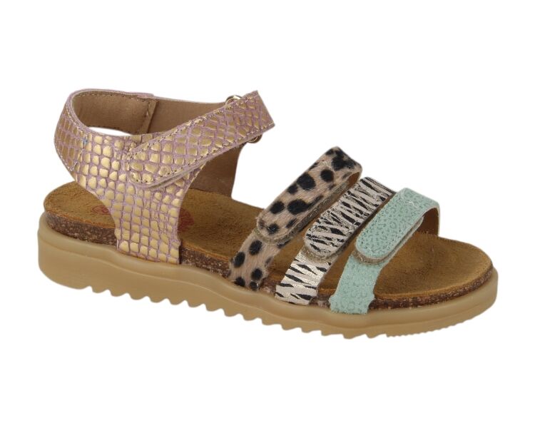 48510-479 multicolor
