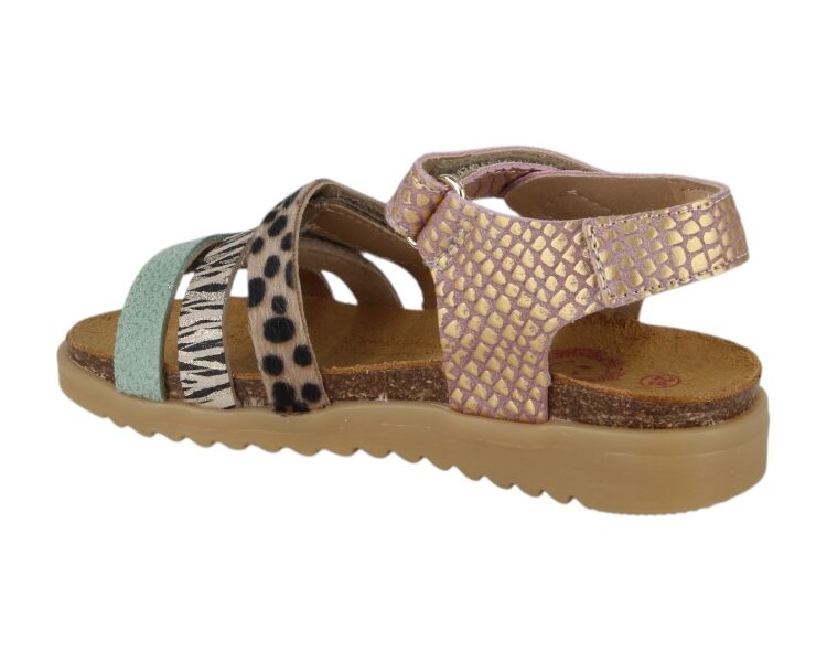 48510-479 multicolor