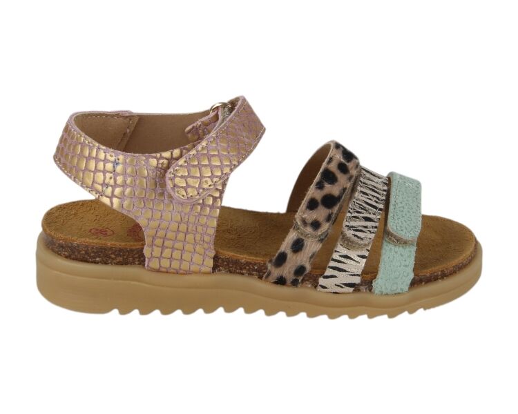 48510-479 multicolor