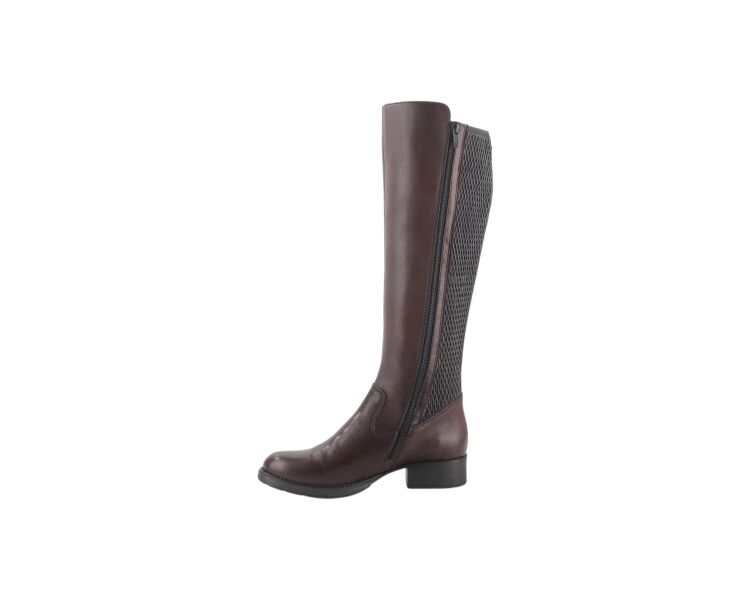 Z9591-27 bruin