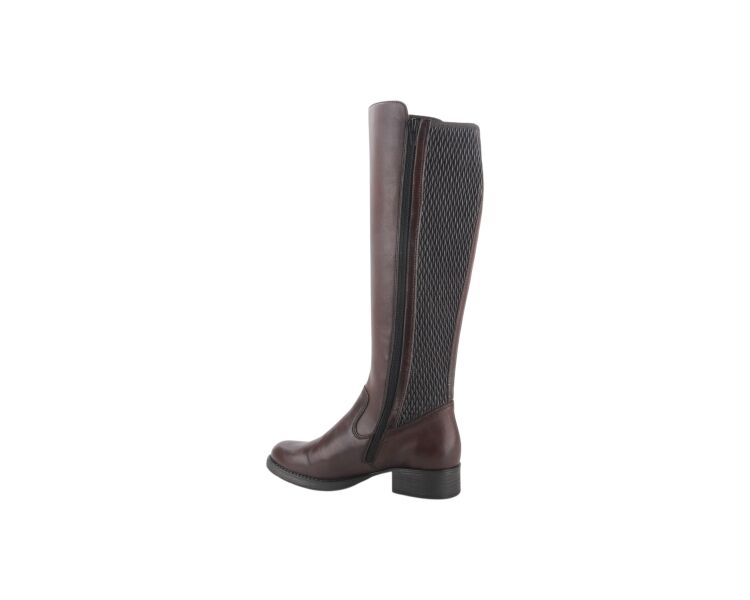 Z9591-27 bruin