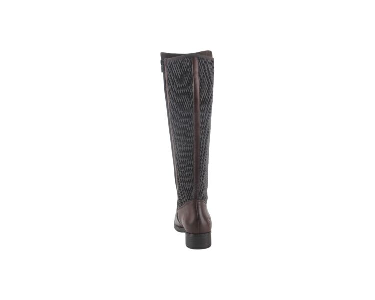 Z9591-27 bruin