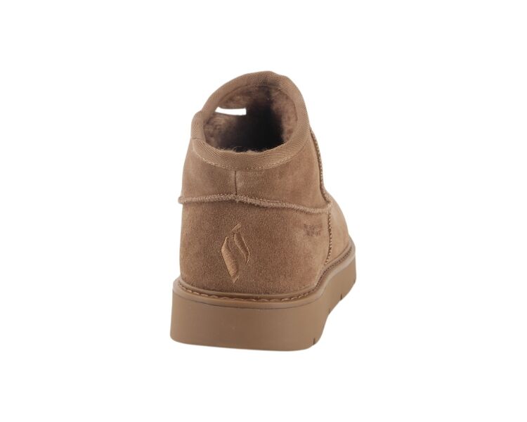167848 CSNT cognac