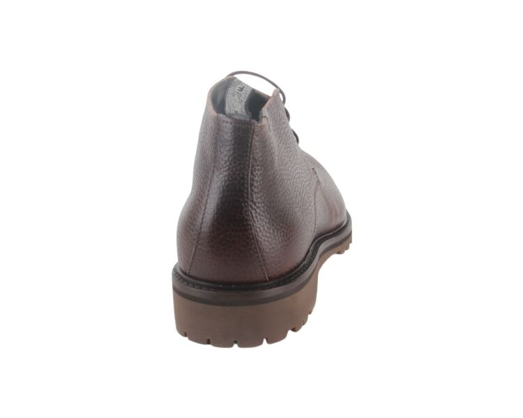 SFM-50082-20-03 bruin