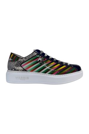 Harris Harris 2817 /multicolor Roccia/Bluette