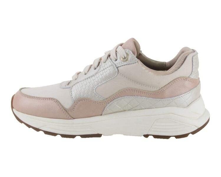 33000.3.753-GX beige combi