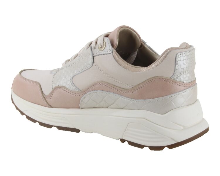 33000.3.753-GX beige combi