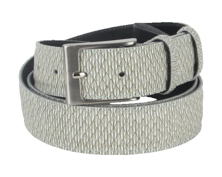 261BELT431 groen