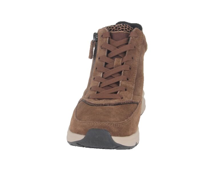 0803.02.003 bruin