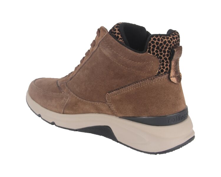 0803.02.003 bruin