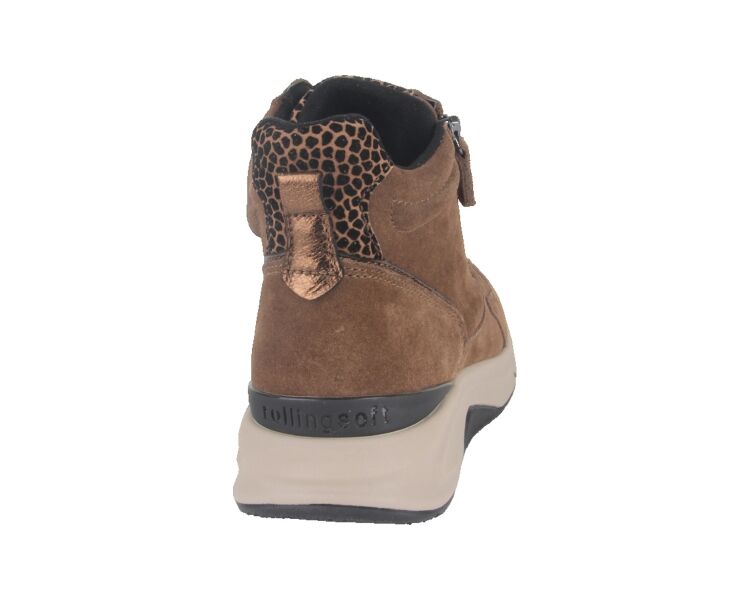 0803.02.003 bruin