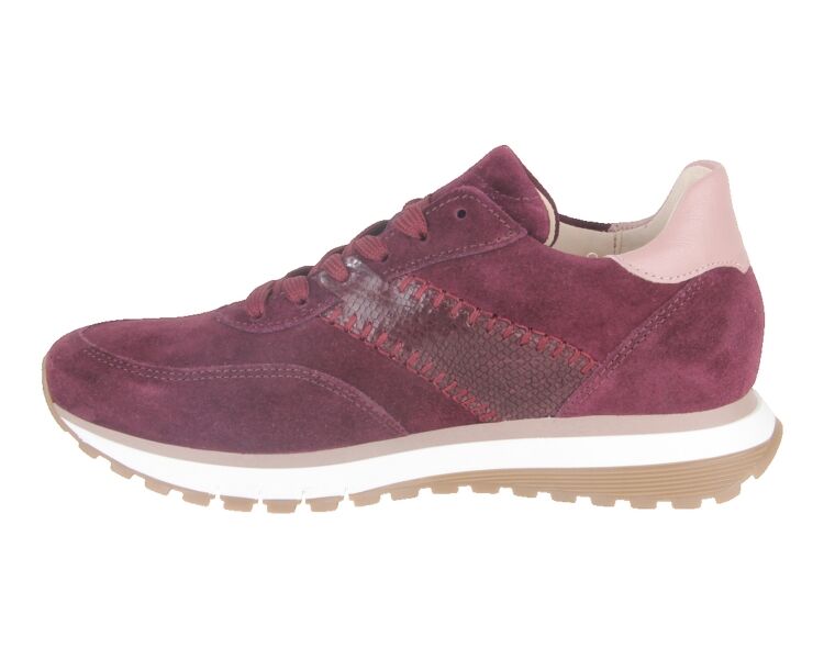 6029.02.005 bordo