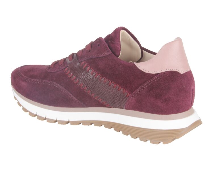 6029.02.005 bordo