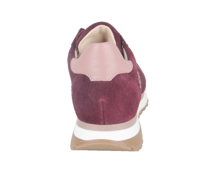 6029.02.005 bordo