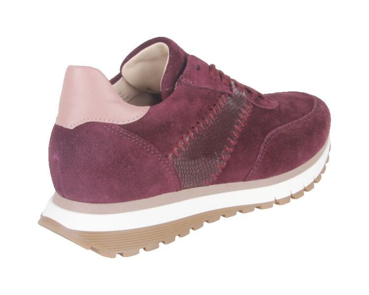 6029.02.005 bordo
