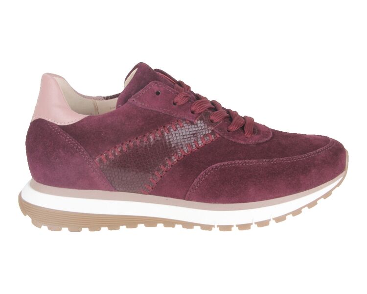 6029.02.005 bordo