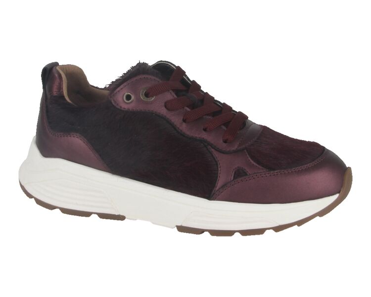 33009.4.729-G bordo combi