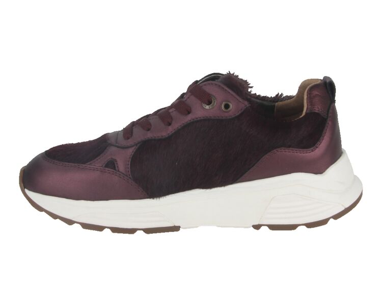 33009.4.729-G bordo combi