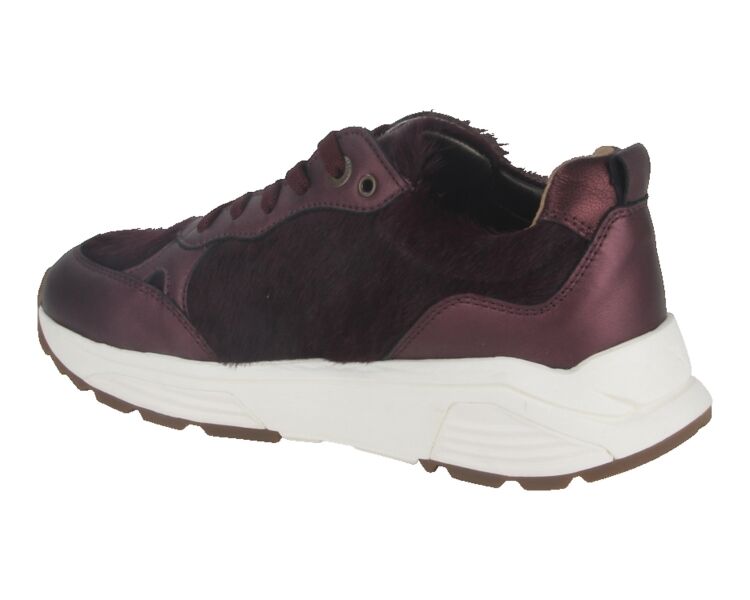 33009.4.729-G bordo combi