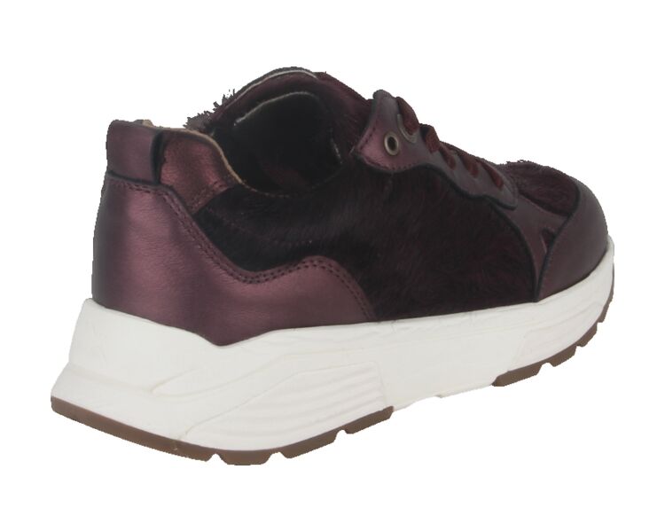 33009.4.729-G bordo combi
