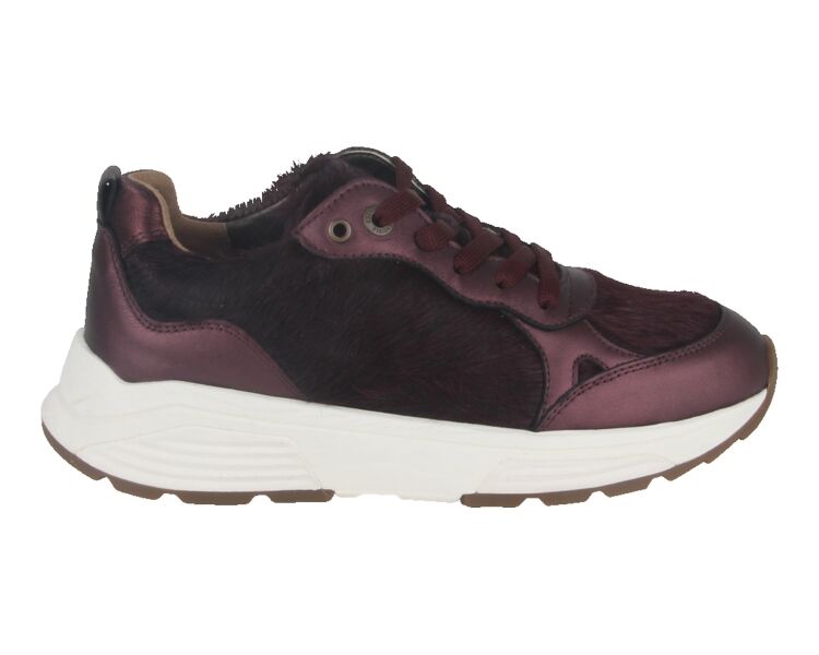 33009.4.729-G bordo combi
