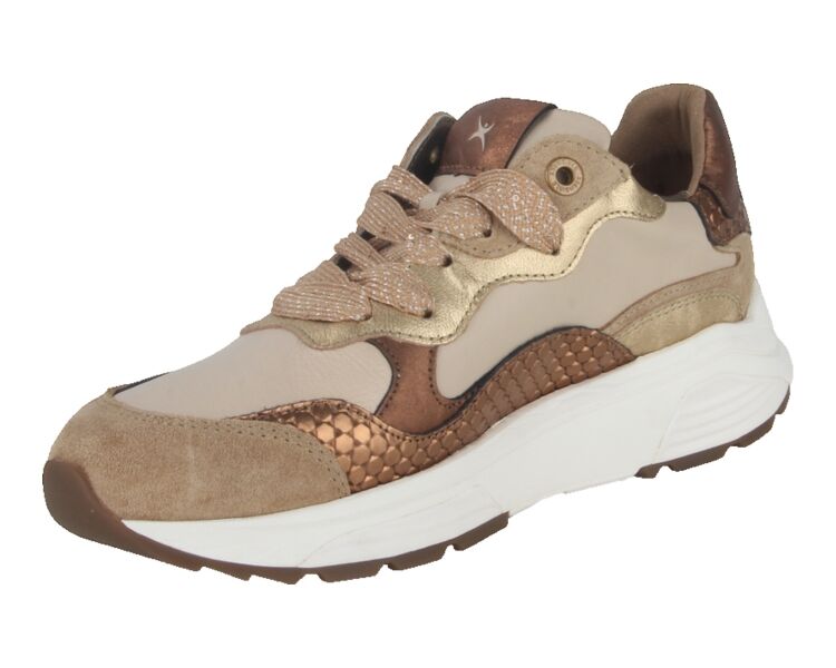 33011.3.304-GX beige combi