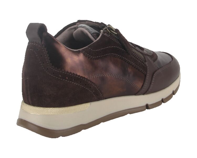 7116-02 bruin combi