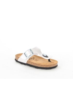 Big Dream Big Dream Big Dream Big Dream