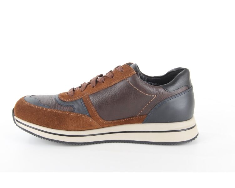 GILFORD 3658N/1551/6145/1500 bruin