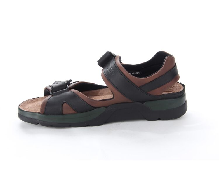 Shark Fit 5751/5700 donkerbruin