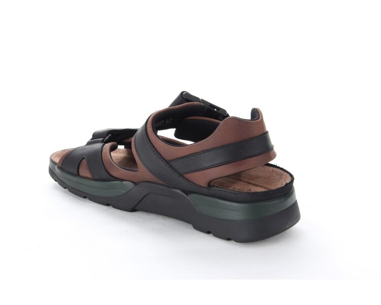 Shark Fit 5751/5700 donkerbruin