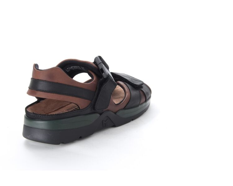 Shark Fit 5751/5700 donkerbruin